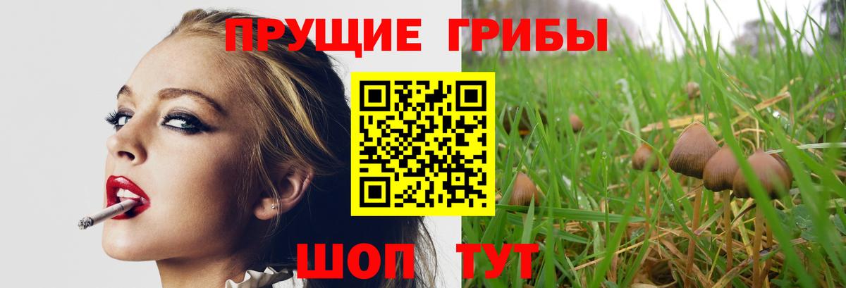Гуково  Галлюциногенные грибы MAGIC MUSHROOMS  Вход с VPN 